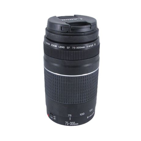 Canon EF 75-300mm f/4-5.6 III Telephoto Zoom Lens