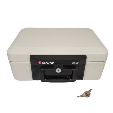Sentry 2100 Fire Safe