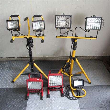 Flood / Shop Light Lot