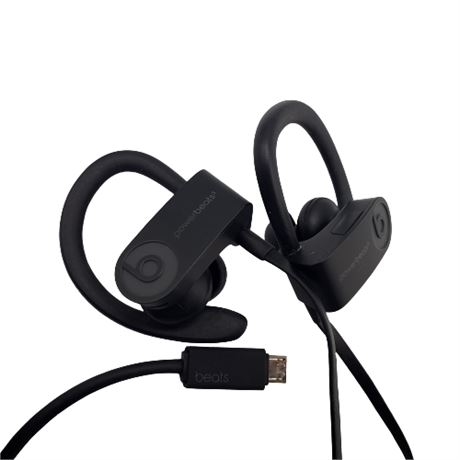 Power Beats 3 Wireless Ear Buds