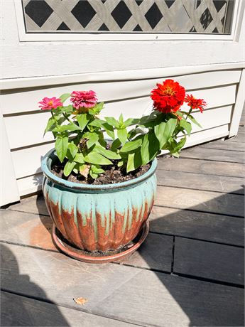 Decorative Planter with Zinnias
