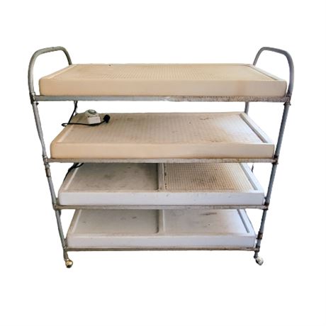 Full-Sized Seedling Light Cart