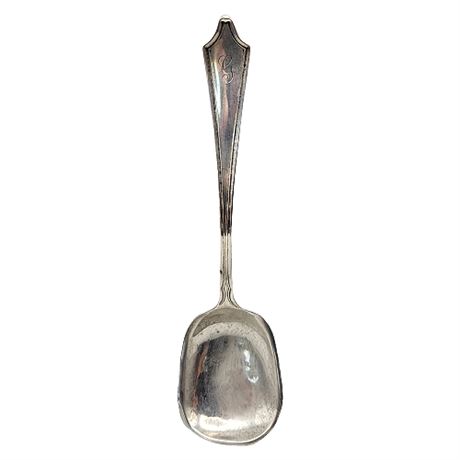 Manchester Sterling Silver Rib Bowl Sugar Spoon
