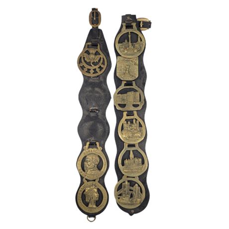 Horse Brasses Lot