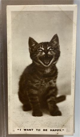 1931 Complete 27 pc Set Animal Photographs De Reszke Cigarette Trade Cards