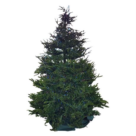 Frontgate 8' Pre-Lit Artificial Christmas Tree w/ Storage Bag *Flawed*